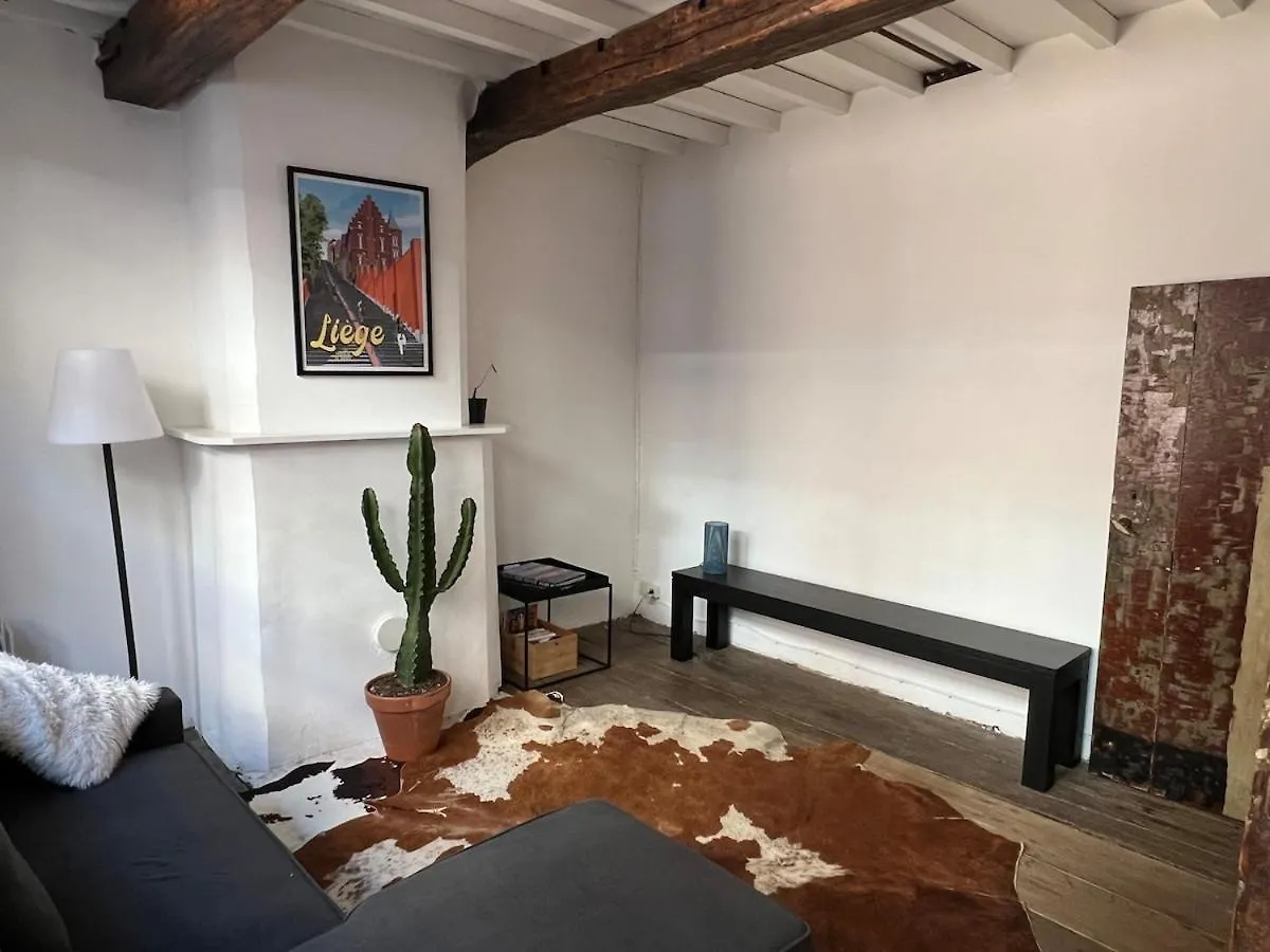 Prázdninový dům La Petite Maison De L'Impasse Lutych