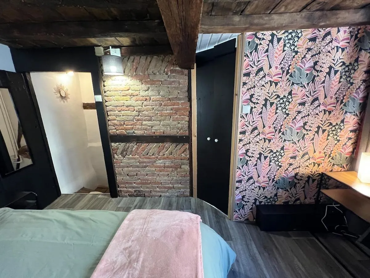 La Petite Maison De L'Impasse Liege Holiday home