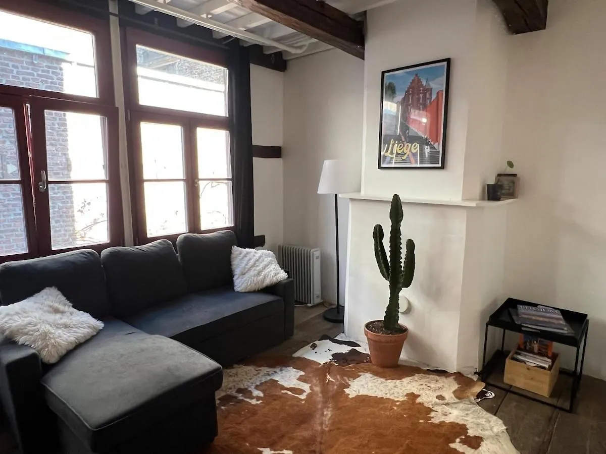 La Petite Maison De L'Impasse Liege Holiday home